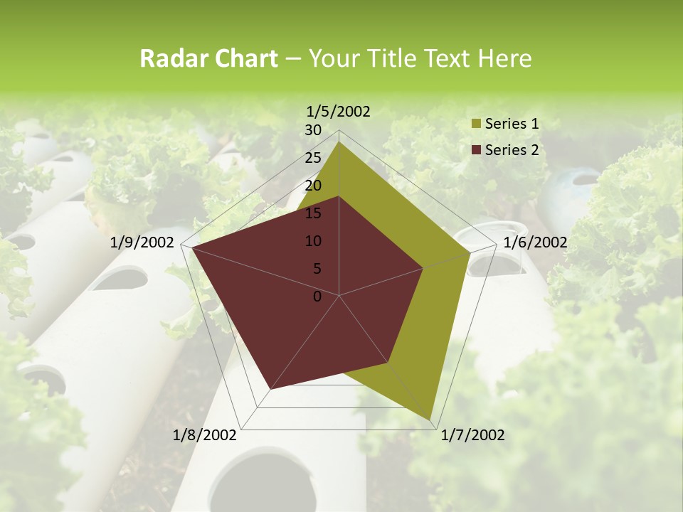 Growing Highland Cultivated PowerPoint Template
