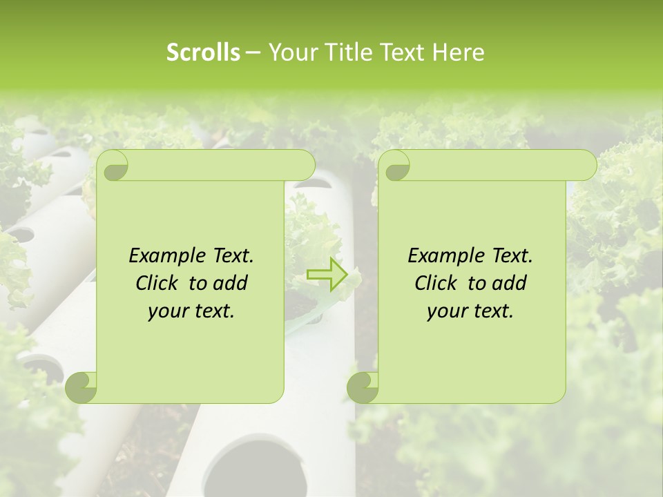 Growing Highland Cultivated PowerPoint Template