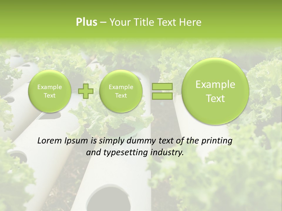 Growing Highland Cultivated PowerPoint Template