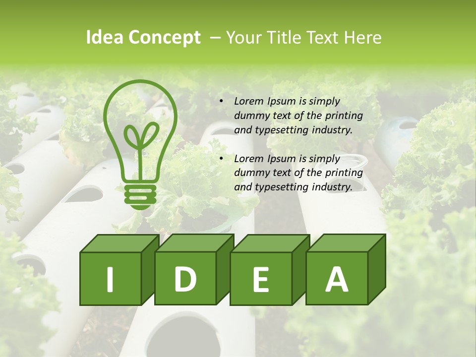 Growing Highland Cultivated PowerPoint Template
