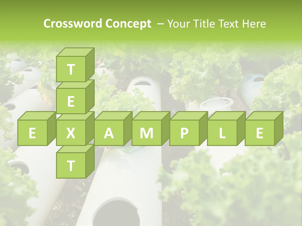 Growing Highland Cultivated PowerPoint Template