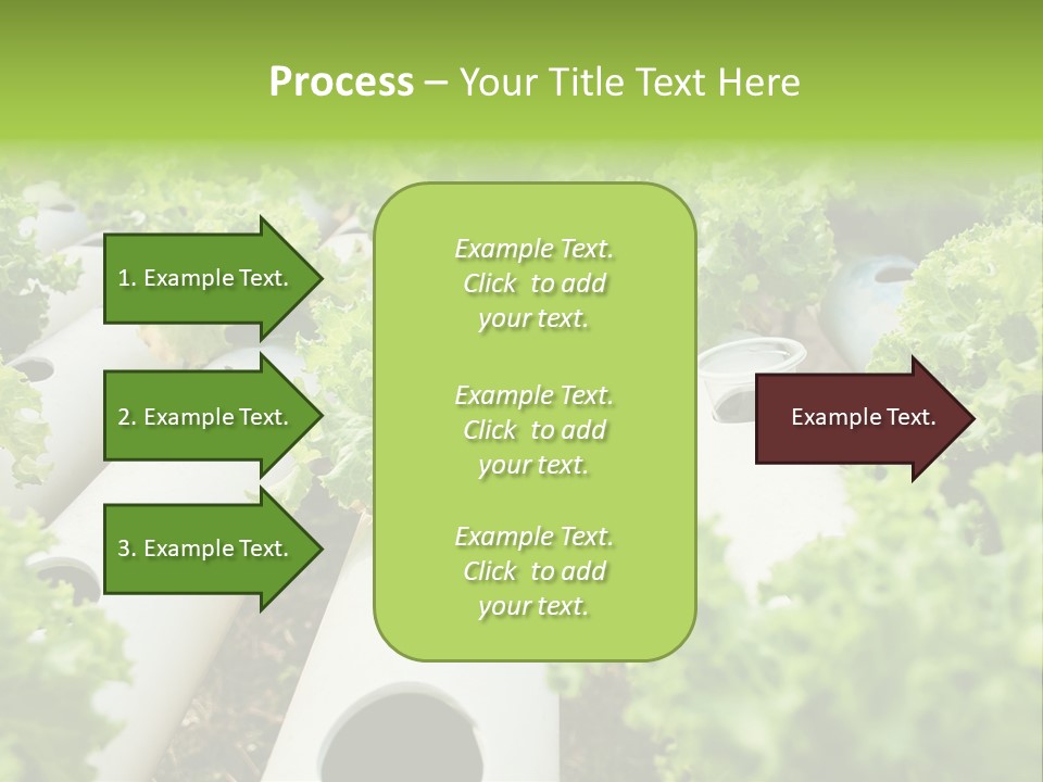Growing Highland Cultivated PowerPoint Template