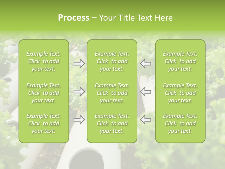 Growing Highland Cultivated PowerPoint Template