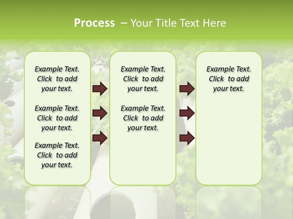 Growing Highland Cultivated PowerPoint Template