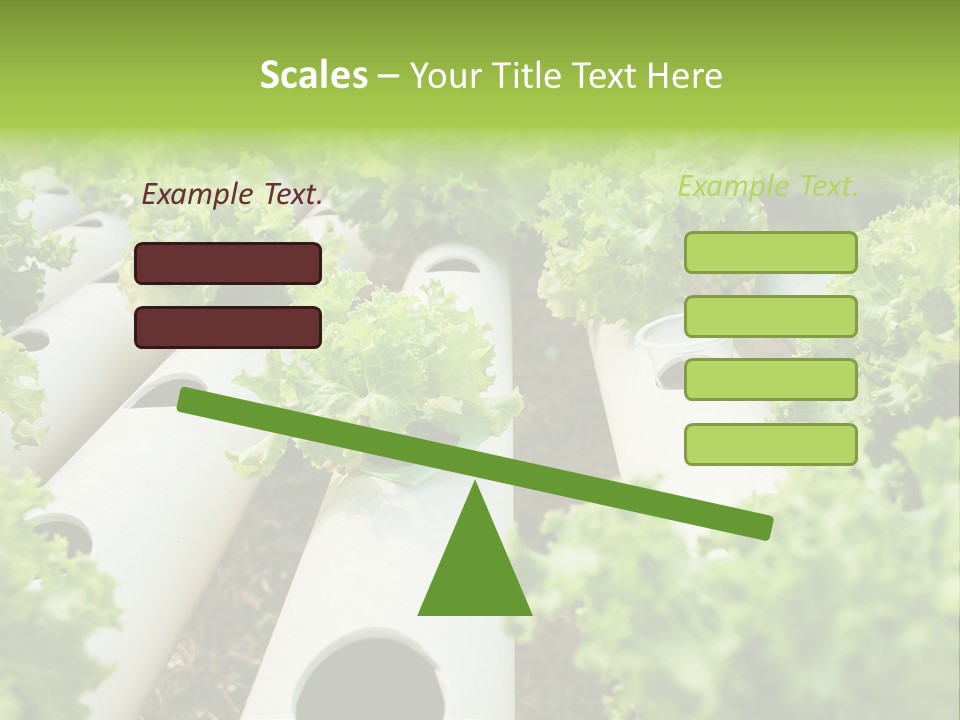 Growing Highland Cultivated PowerPoint Template