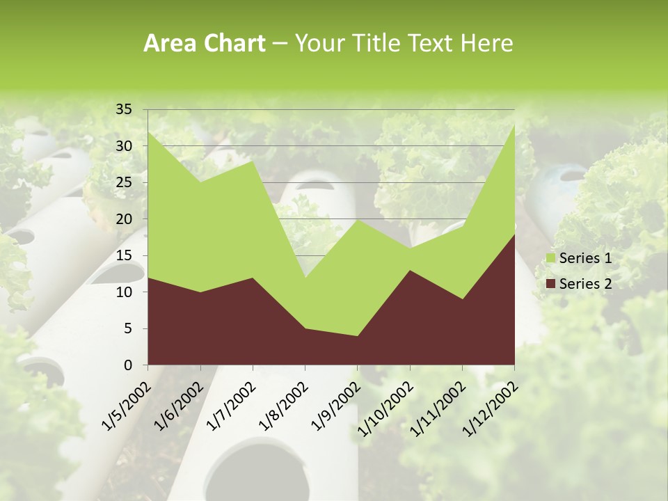 Growing Highland Cultivated PowerPoint Template