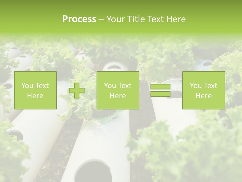 Growing Highland Cultivated PowerPoint Template