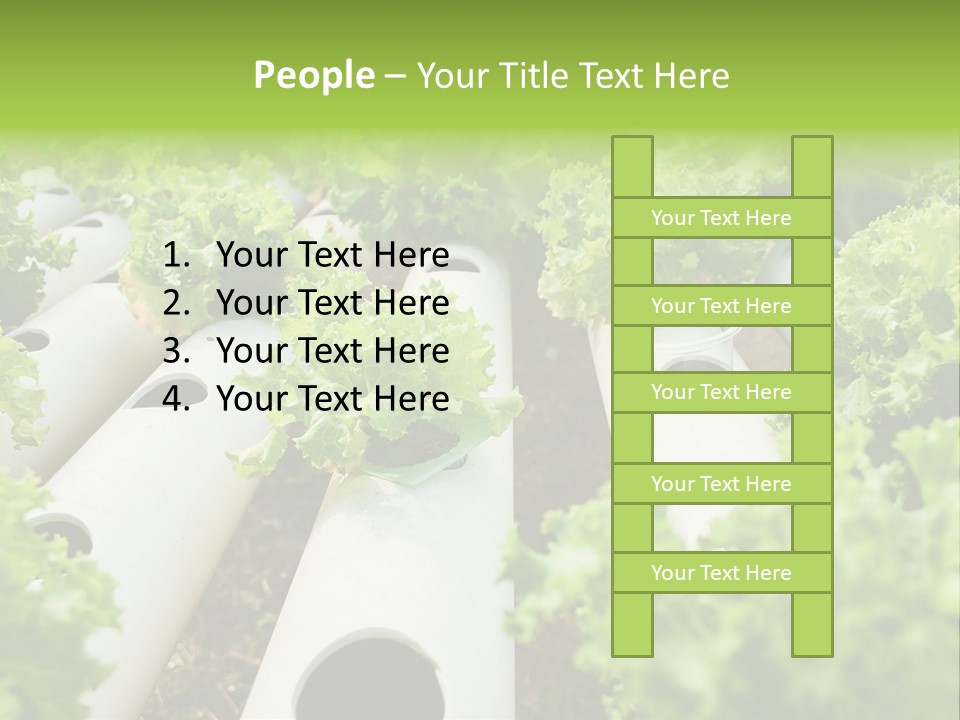 Growing Highland Cultivated PowerPoint Template