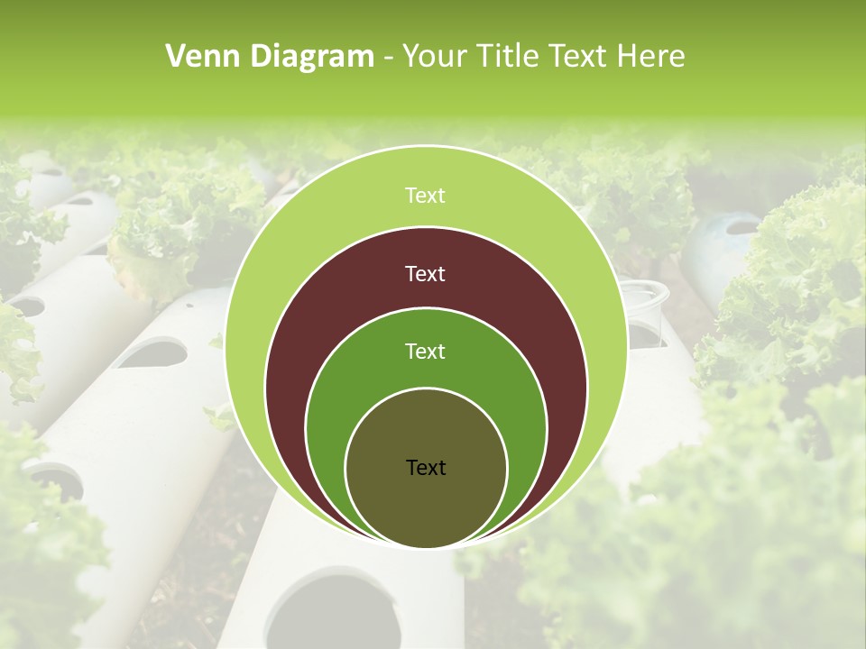 Growing Highland Cultivated PowerPoint Template