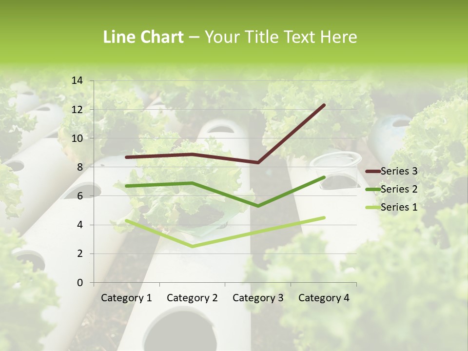 Growing Highland Cultivated PowerPoint Template