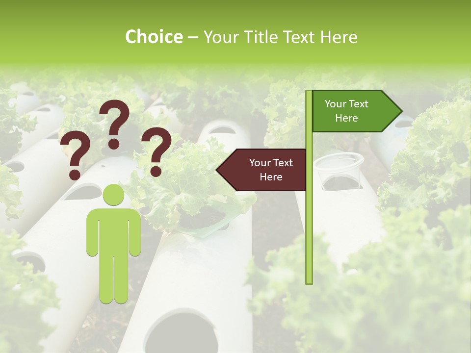 Growing Highland Cultivated PowerPoint Template