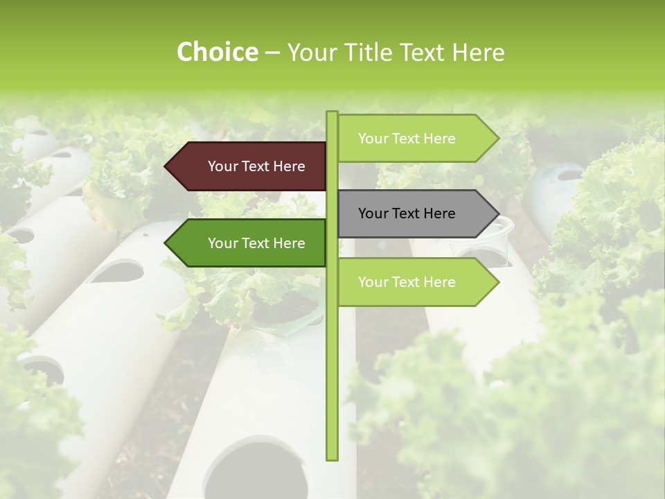 Growing Highland Cultivated PowerPoint Template