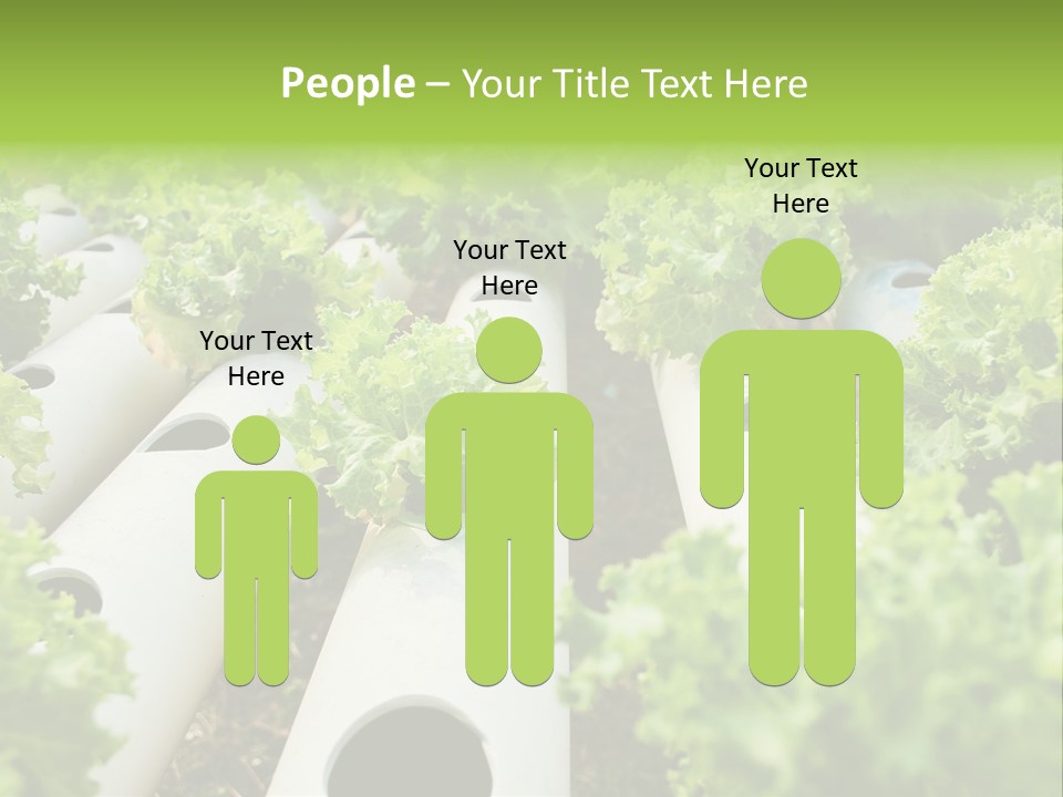 Growing Highland Cultivated PowerPoint Template