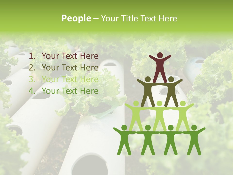 Growing Highland Cultivated PowerPoint Template