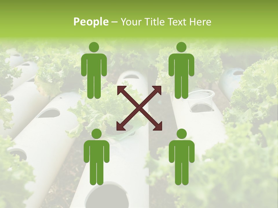 Growing Highland Cultivated PowerPoint Template