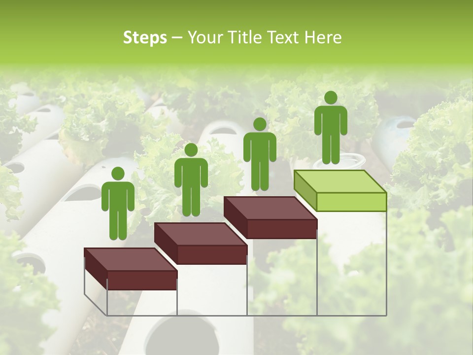 Growing Highland Cultivated PowerPoint Template