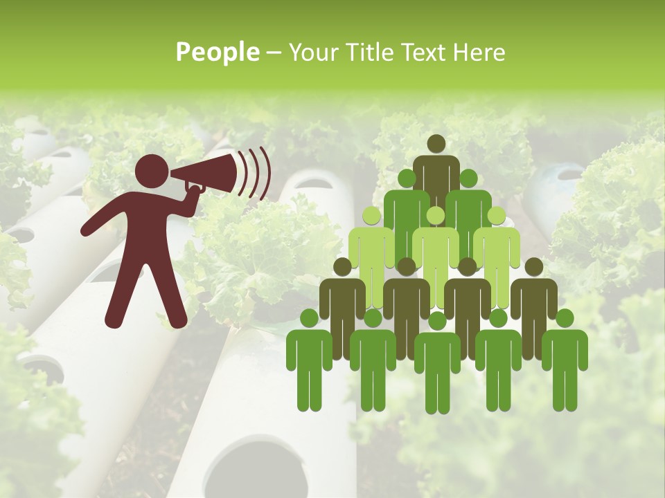 Growing Highland Cultivated PowerPoint Template