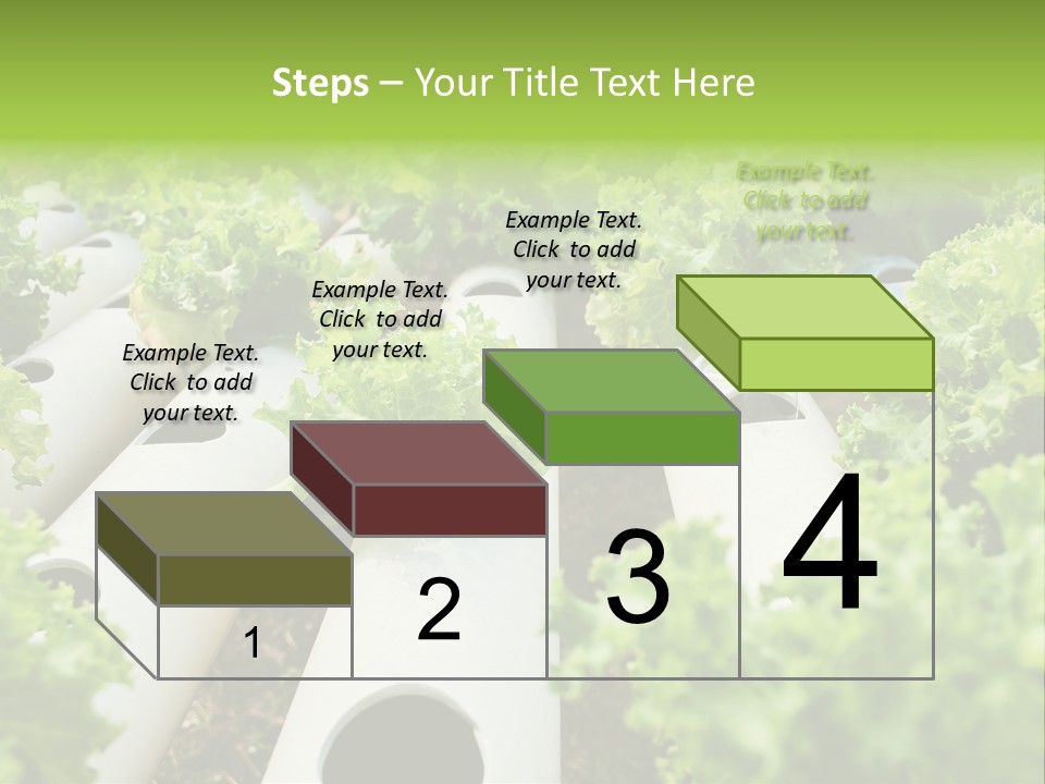 Growing Highland Cultivated PowerPoint Template