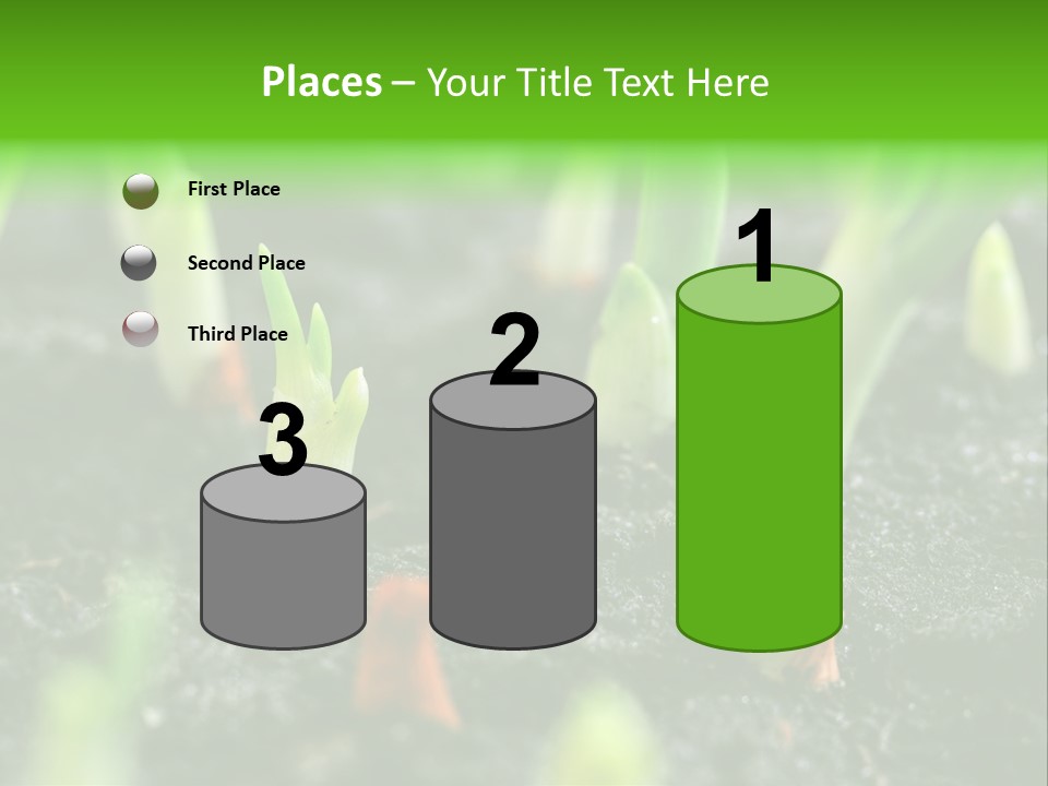A Group Of Green Sprouts Growing From The Ground PowerPoint Template