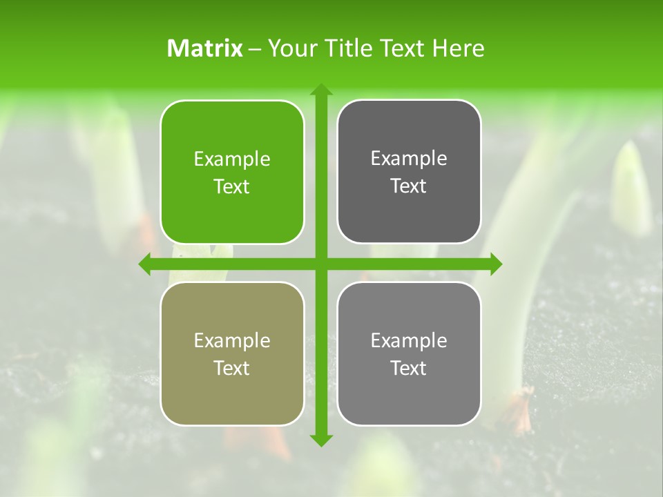 A Group Of Green Sprouts Growing From The Ground PowerPoint Template