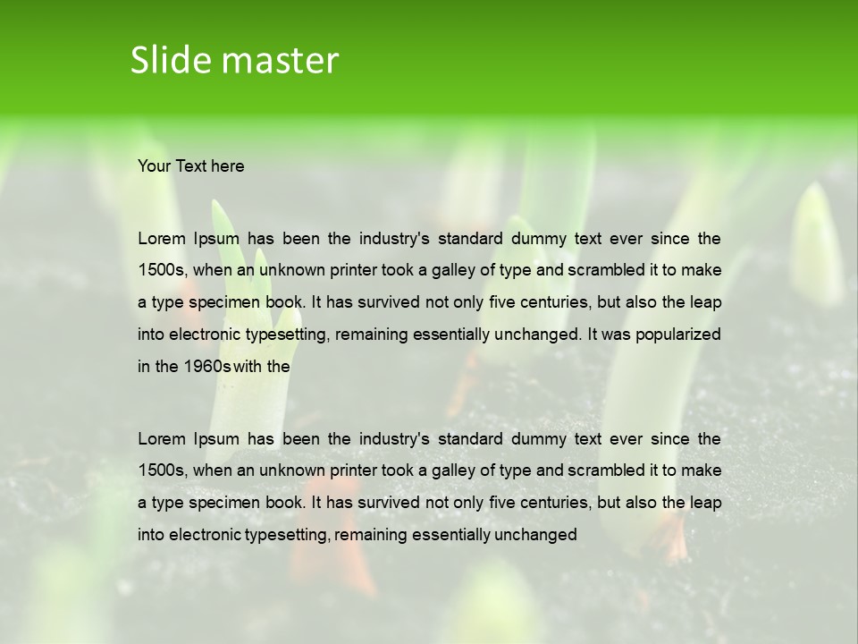 A Group Of Green Sprouts Growing From The Ground PowerPoint Template