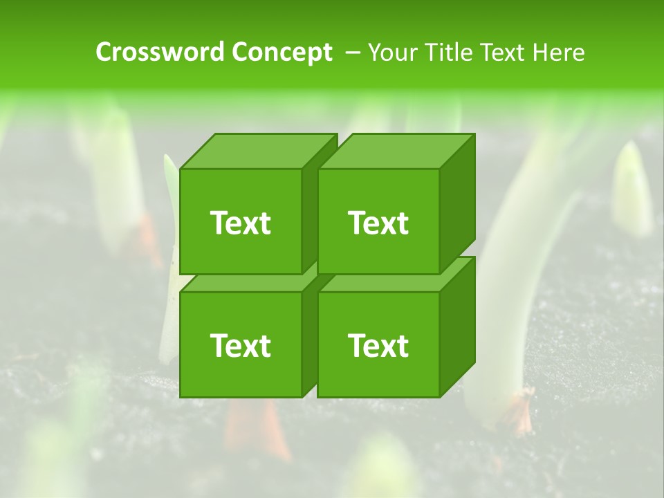 A Group Of Green Sprouts Growing From The Ground PowerPoint Template