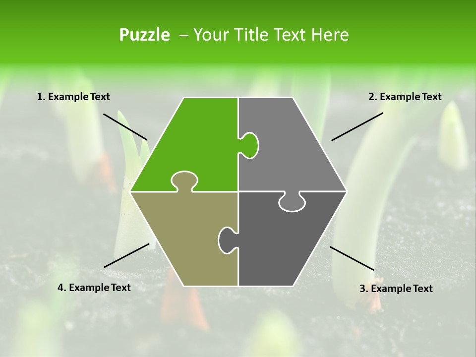 A Group Of Green Sprouts Growing From The Ground PowerPoint Template