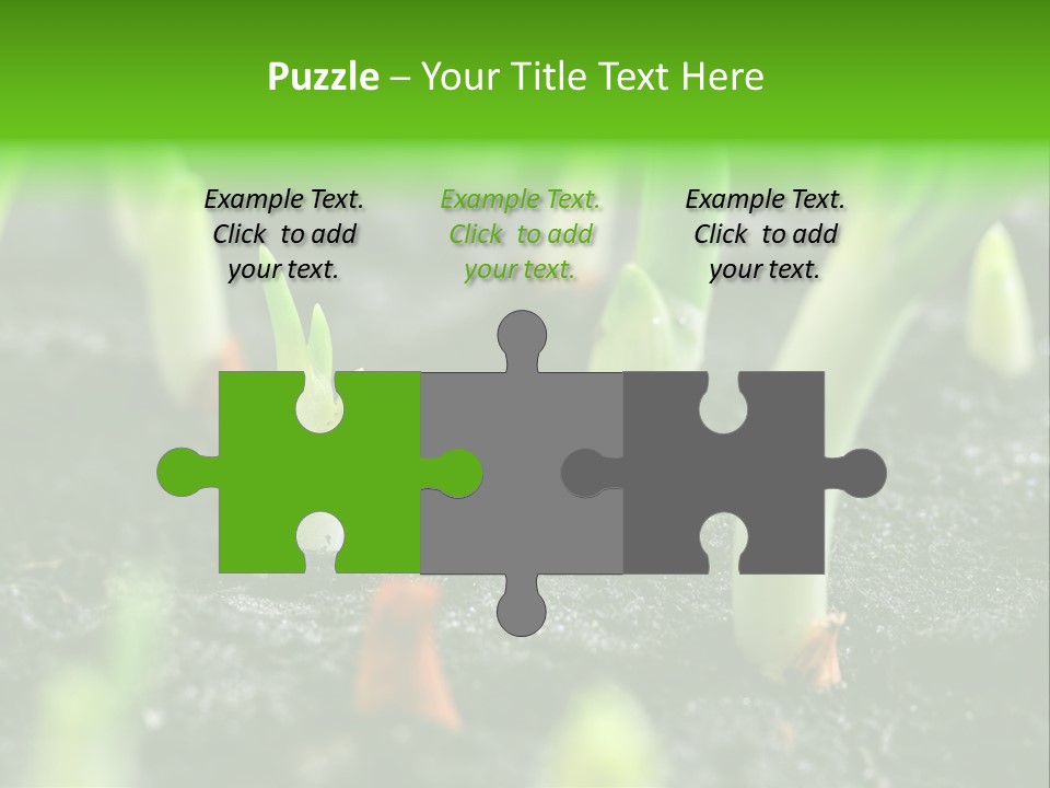 A Group Of Green Sprouts Growing From The Ground PowerPoint Template