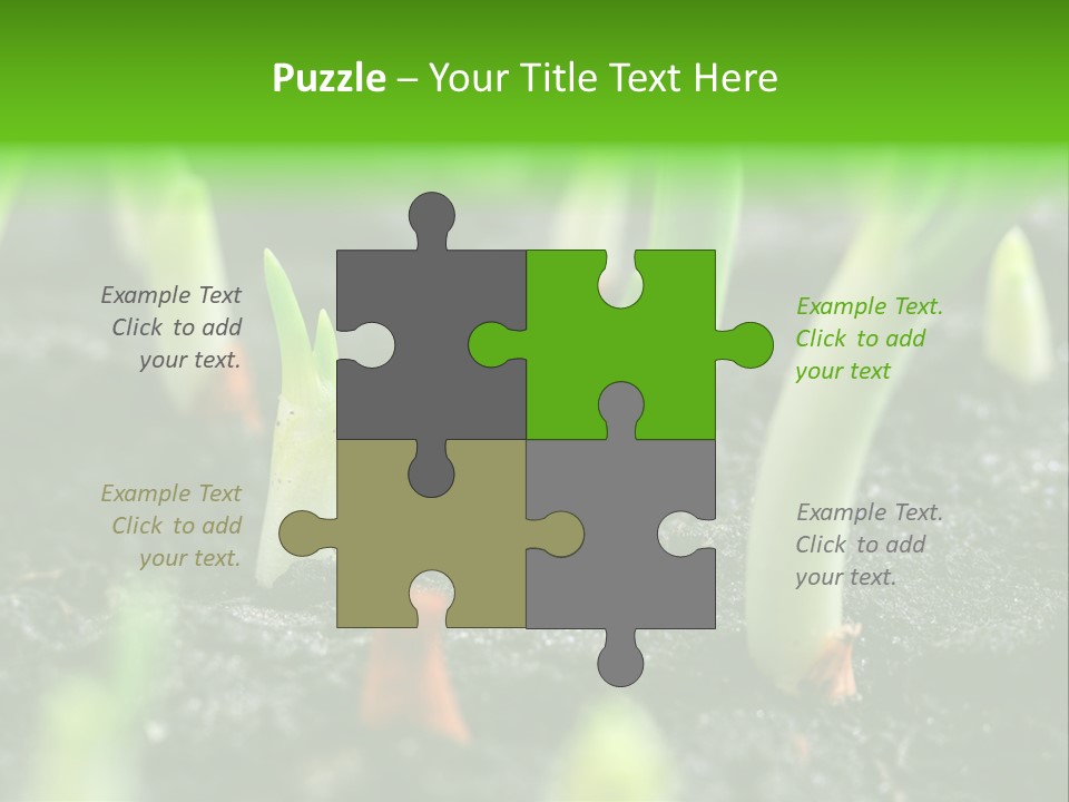 A Group Of Green Sprouts Growing From The Ground PowerPoint Template