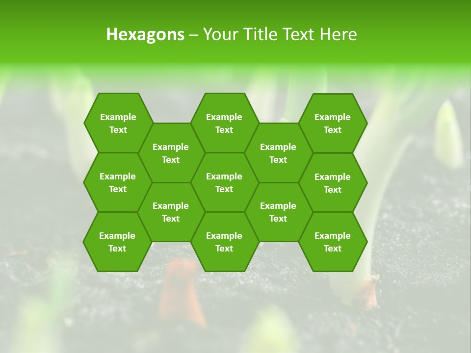 A Group Of Green Sprouts Growing From The Ground PowerPoint Template