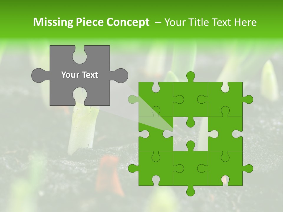 A Group Of Green Sprouts Growing From The Ground PowerPoint Template