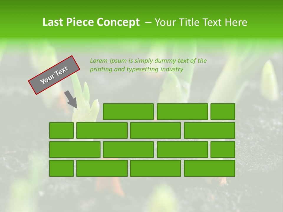 A Group Of Green Sprouts Growing From The Ground PowerPoint Template