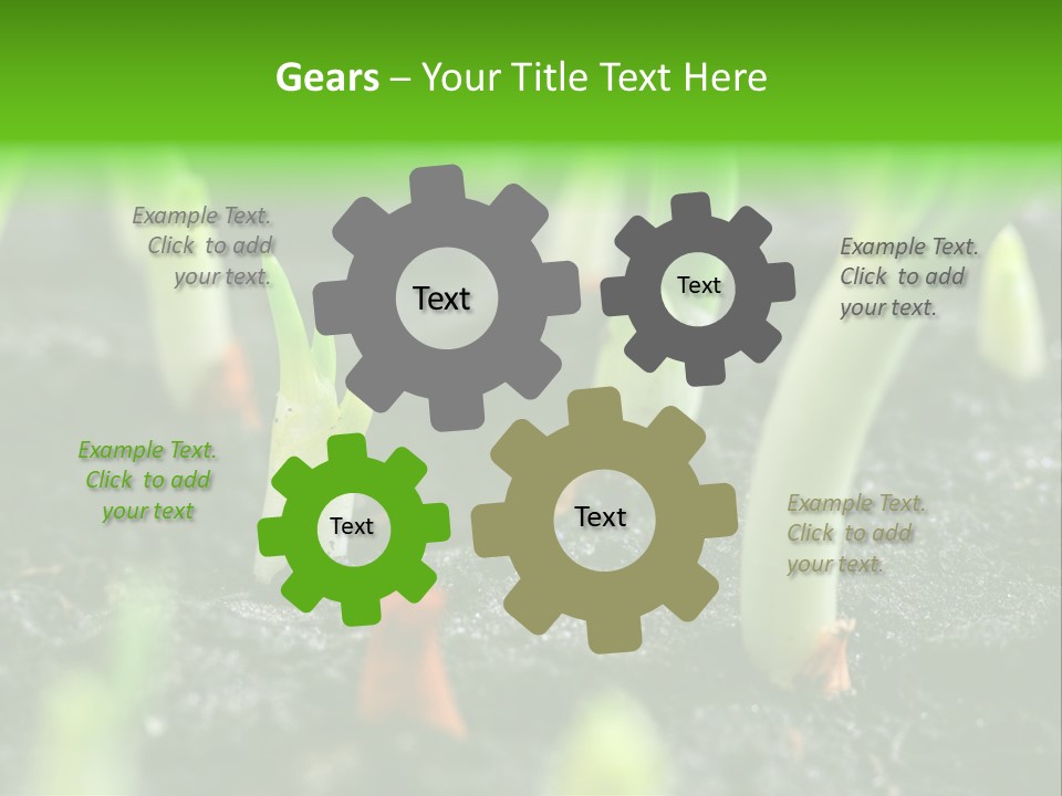 A Group Of Green Sprouts Growing From The Ground PowerPoint Template