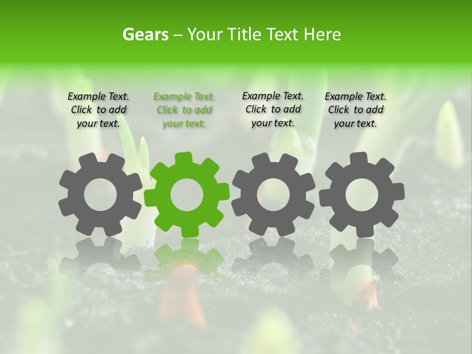 A Group Of Green Sprouts Growing From The Ground PowerPoint Template