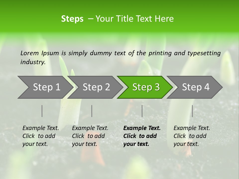 A Group Of Green Sprouts Growing From The Ground PowerPoint Template