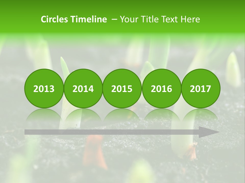 A Group Of Green Sprouts Growing From The Ground PowerPoint Template