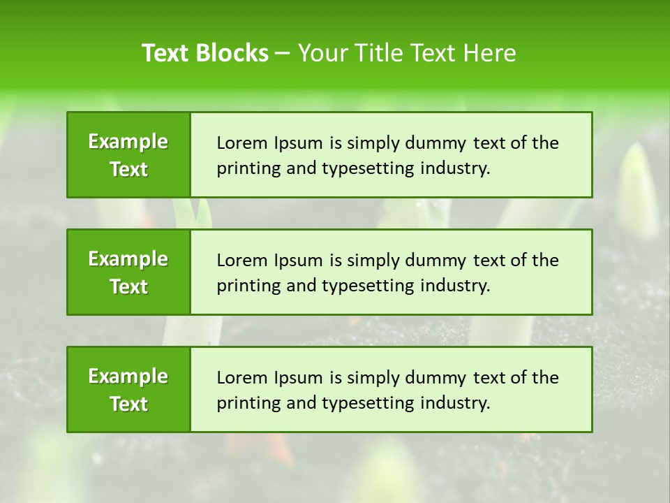 A Group Of Green Sprouts Growing From The Ground PowerPoint Template