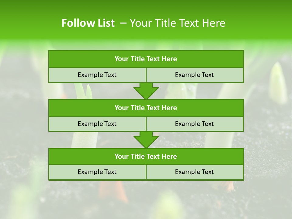 A Group Of Green Sprouts Growing From The Ground PowerPoint Template