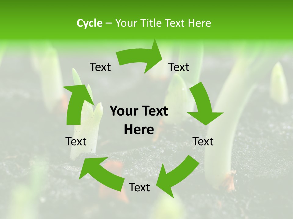 A Group Of Green Sprouts Growing From The Ground PowerPoint Template