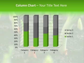 A Group Of Green Sprouts Growing From The Ground PowerPoint Template