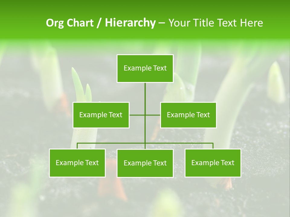A Group Of Green Sprouts Growing From The Ground PowerPoint Template