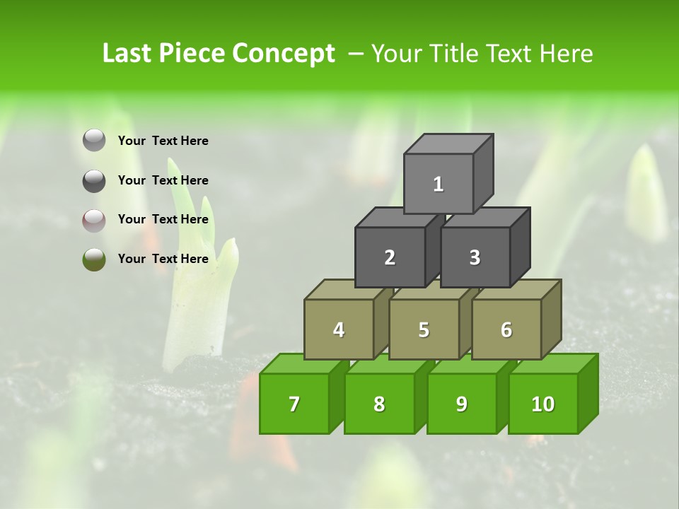 A Group Of Green Sprouts Growing From The Ground PowerPoint Template