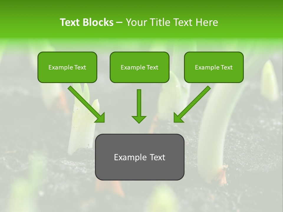 A Group Of Green Sprouts Growing From The Ground PowerPoint Template