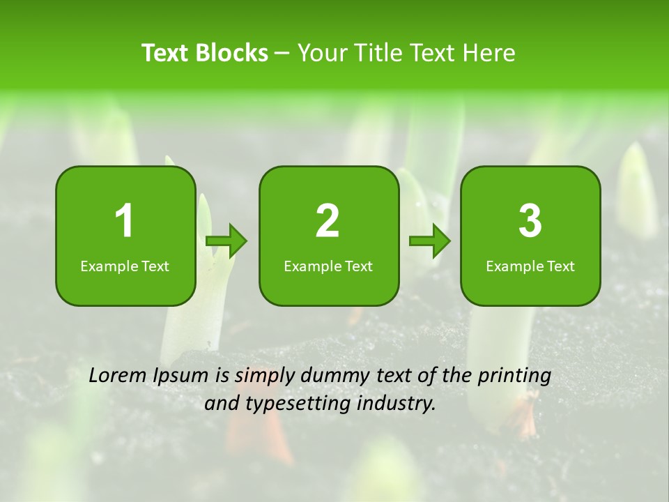 A Group Of Green Sprouts Growing From The Ground PowerPoint Template
