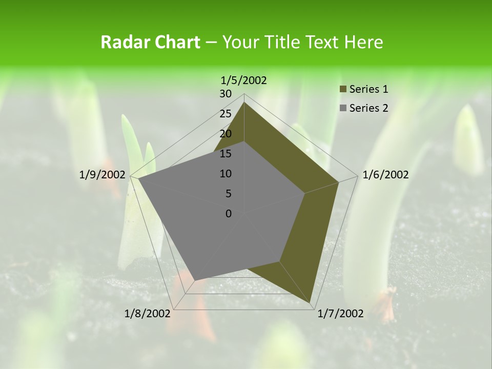 A Group Of Green Sprouts Growing From The Ground PowerPoint Template