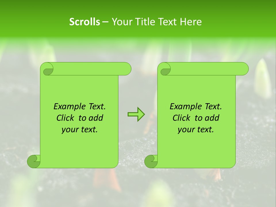 A Group Of Green Sprouts Growing From The Ground PowerPoint Template
