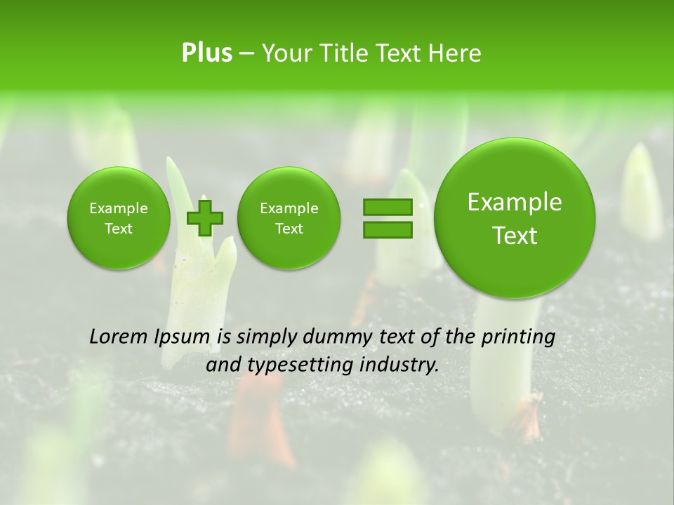 A Group Of Green Sprouts Growing From The Ground PowerPoint Template