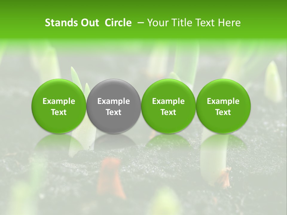 A Group Of Green Sprouts Growing From The Ground PowerPoint Template
