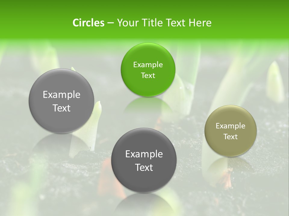 A Group Of Green Sprouts Growing From The Ground PowerPoint Template