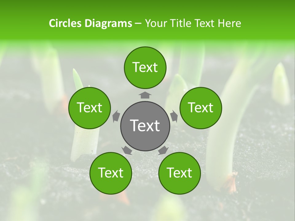 A Group Of Green Sprouts Growing From The Ground PowerPoint Template